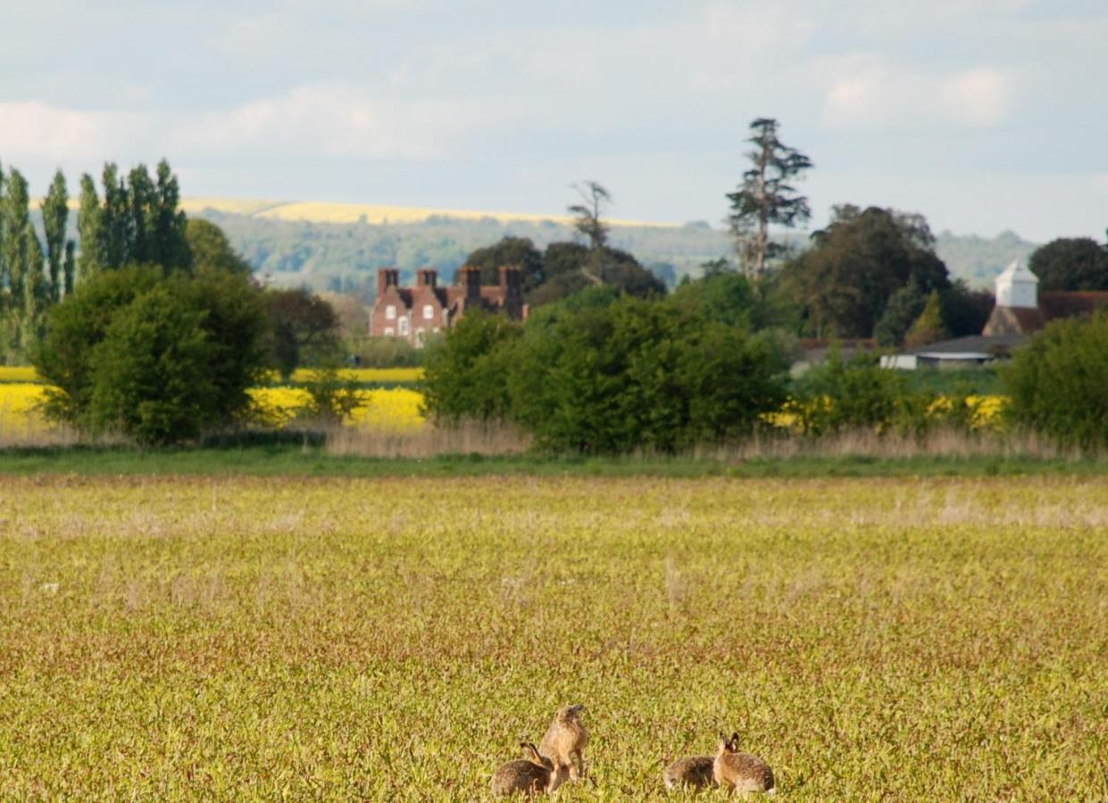 Barnham Court Farm Villa Exterior photo